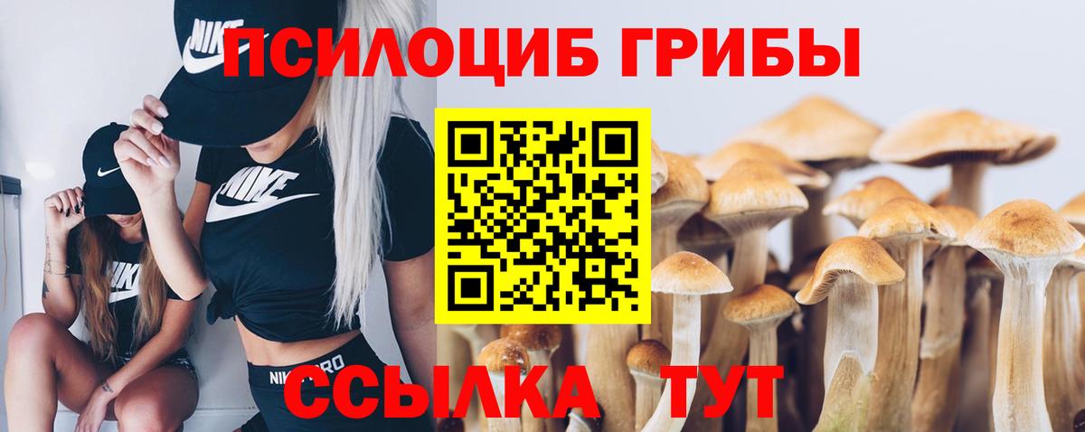 Галлюциногенные грибы Magic Shrooms Лесной