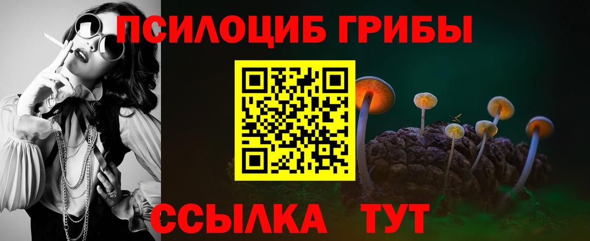 Галлюциногенные грибы Psilocybe  Псилоцибиновые грибы Magic Shrooms  Вход с VPN  Лесной 