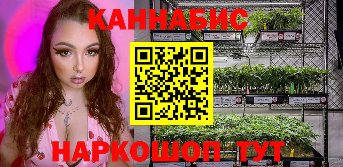 Марихуана план  Конопля семена  Бошки марихуана THC 21%  Лесной  Бошки Шишки план  Вход с VPN 